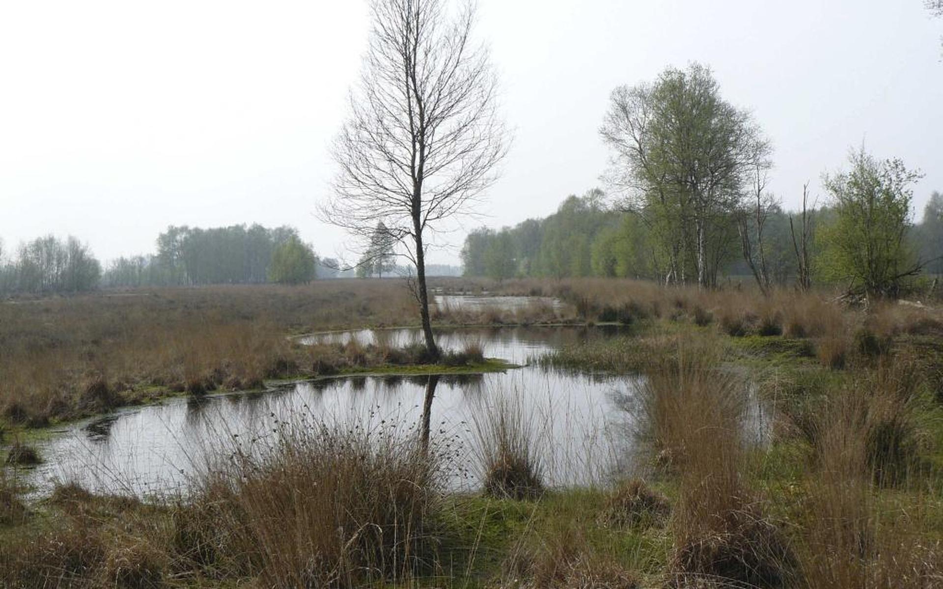 Bufferzones Rond Bargerveen Weer In Beeld Dagblad Van Het Noorden